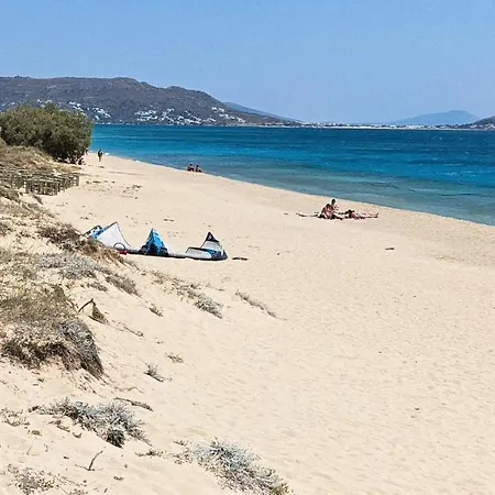Апартаменты Naxos Sea View *